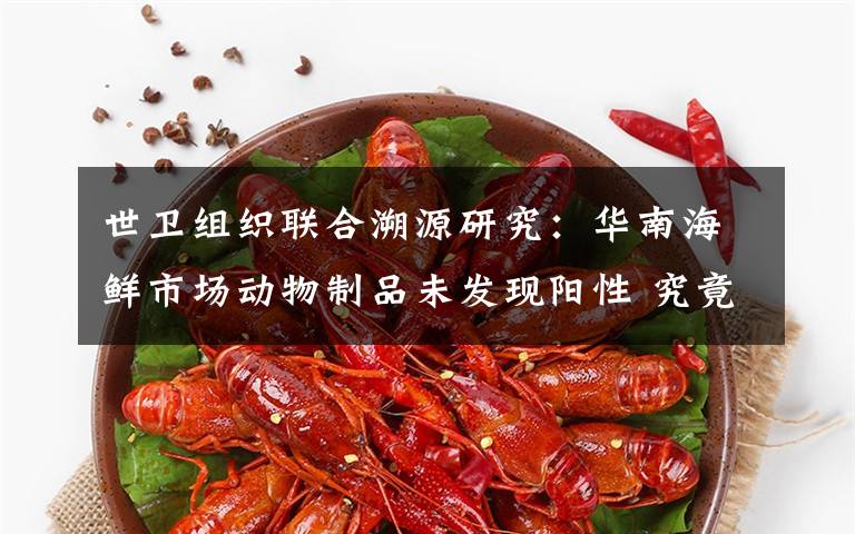 世衛(wèi)組織聯(lián)合溯源研究：華南海鮮市場(chǎng)動(dòng)物制品未發(fā)現(xiàn)陽性 究竟是怎么一回事?