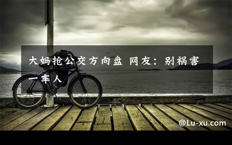 大媽搶公交方向盤 網(wǎng)友：別禍害一車人