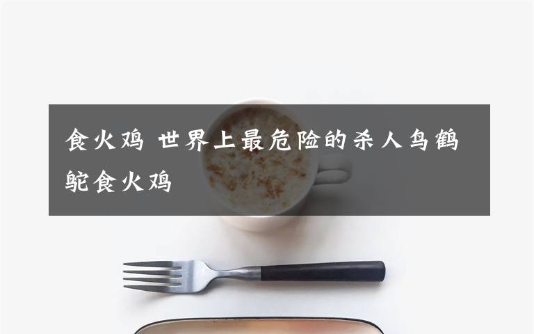 食火雞 世界上最危險(xiǎn)的殺人鳥鶴鴕食火雞