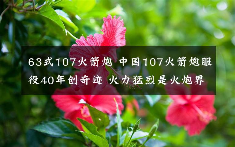 63式107火箭炮 中國(guó)107火箭炮服役40年創(chuàng)奇跡 火力猛烈是火炮界的AK47