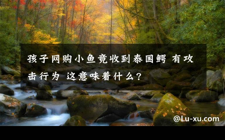 孩子網(wǎng)購小魚竟收到泰國鱷 有攻擊行為 這意味著什么?