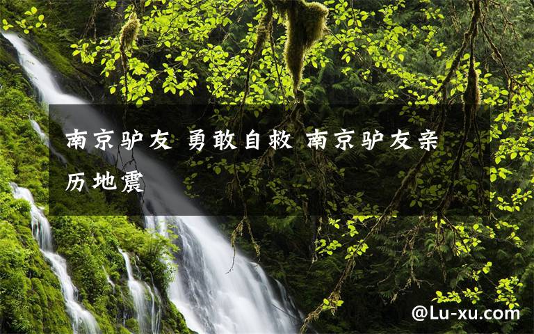 南京驢友 勇敢自救 南京驢友親歷地震