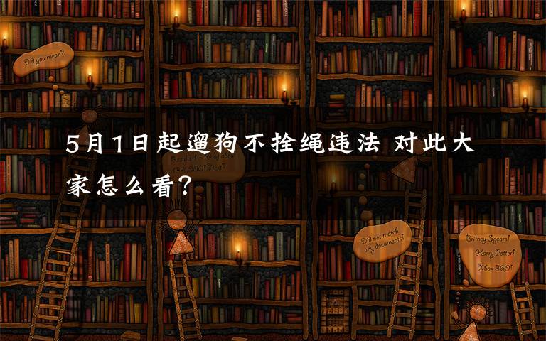 5月1日起遛狗不拴繩違法 對此大家怎么看？