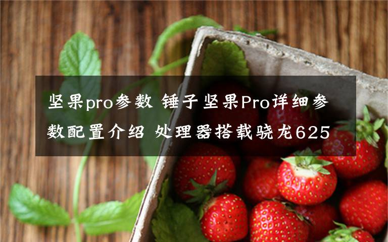 堅果pro參數 錘子堅果Pro詳細參數配置介紹 處理器搭載驍龍625/626