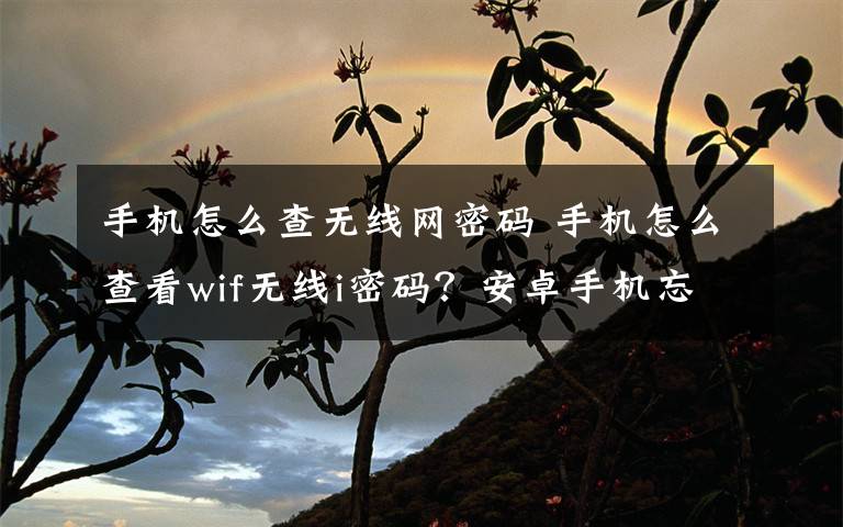 手機怎么查無線網(wǎng)密碼 手機怎么查看wif無線i密碼？安卓手機忘記無線i密碼查看方法