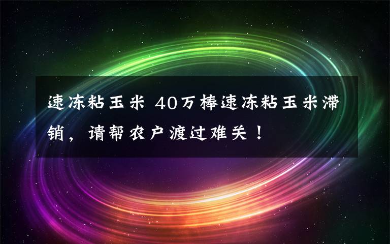 速凍粘玉米 40萬棒速凍粘玉米滯銷，請幫農(nóng)戶渡過難關！