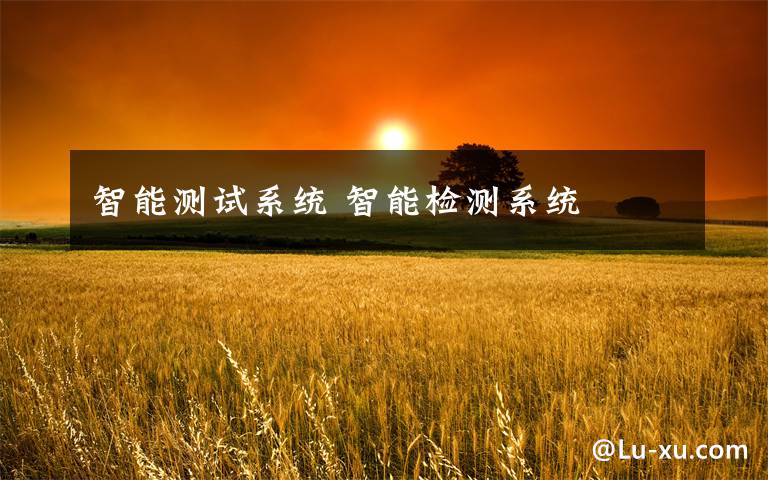 智能測試系統(tǒng) 智能檢測系統(tǒng)