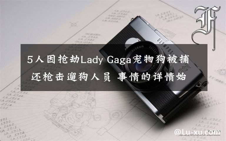 5人因搶劫Lady Gaga寵物狗被捕 還槍擊遛狗人員 事情的詳情始末是怎么樣了！