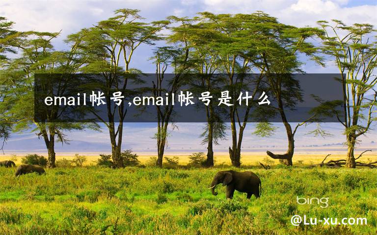 email帳號(hào),email帳號(hào)是什么