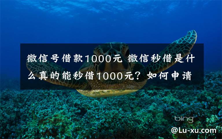 微信號借款1000元 微信秒借是什么真的能秒借1000元？如何申請及手續(xù)費率多少？