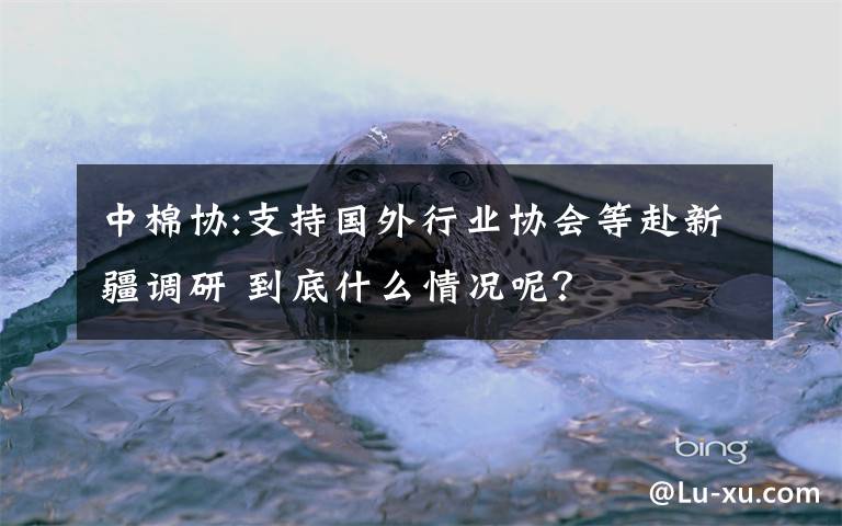 中棉協(xié):支持國(guó)外行業(yè)協(xié)會(huì)等赴新疆調(diào)研 到底什么情況呢？