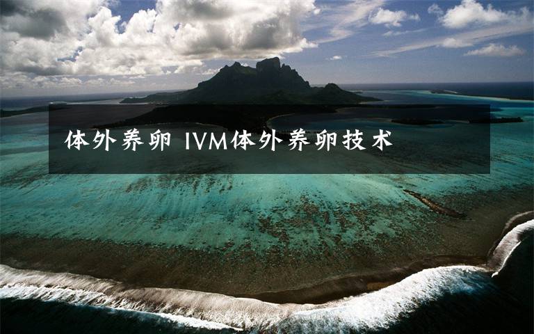 體外養(yǎng)卵 IVM體外養(yǎng)卵技術