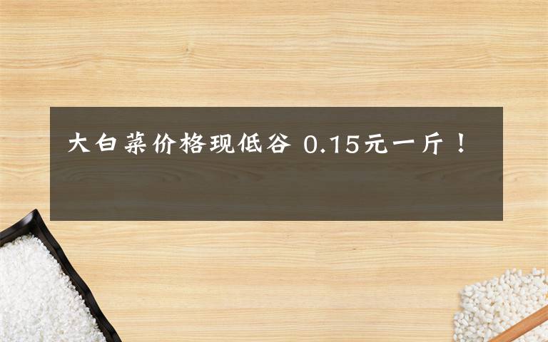 大白菜價(jià)格現(xiàn)低谷 0.15元一斤！