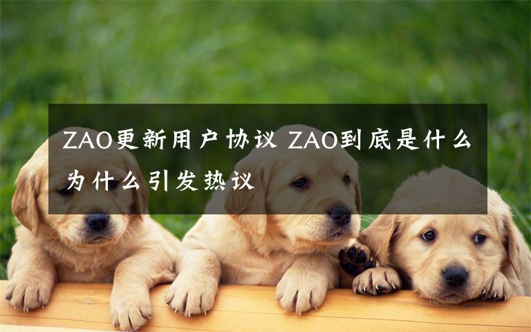 ZAO更新用戶協(xié)議 ZAO到底是什么為什么引發(fā)熱議