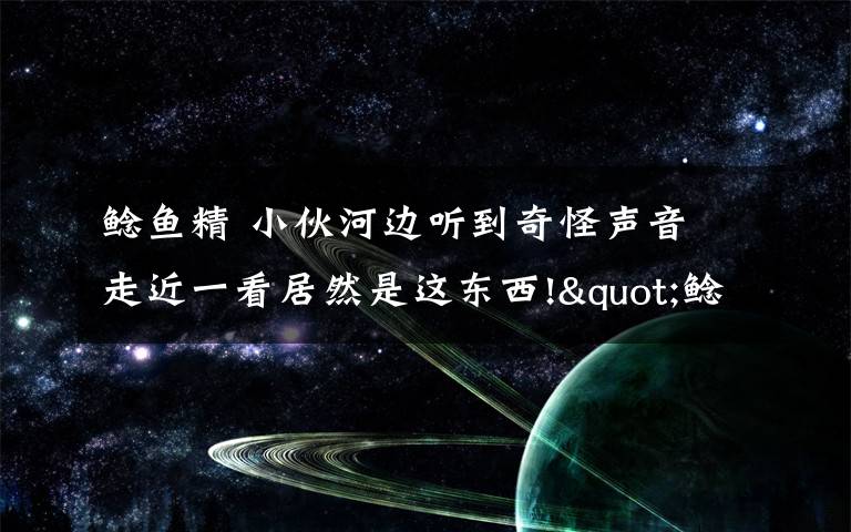 鯰魚精 小伙河邊聽到奇怪聲音 走近一看居然是這東西!"鯰魚精"比人還大!