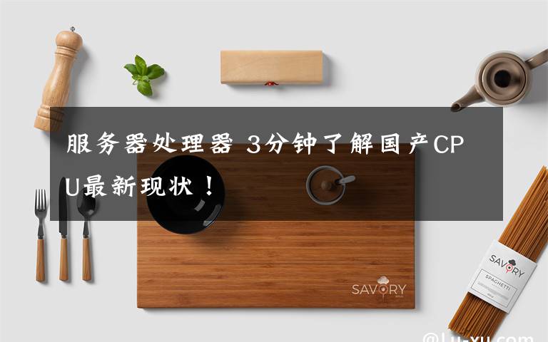 服務(wù)器處理器 3分鐘了解國產(chǎn)CPU最新現(xiàn)狀！