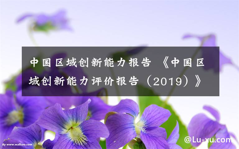 中國區(qū)域創(chuàng)新能力報告 《中國區(qū)域創(chuàng)新能力評價報告（2019）》