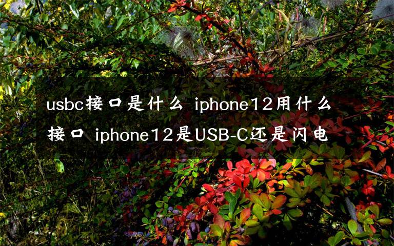 usbc接口是什么 iphone12用什么接口 iphone12是USB-C還是閃電接口