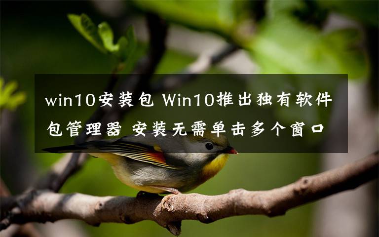 win10安裝包 Win10推出獨(dú)有軟件包管理器 安裝無需單擊多個窗口