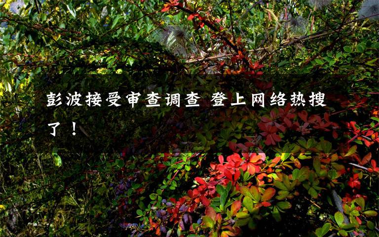 彭波接受審查調(diào)查 登上網(wǎng)絡(luò)熱搜了！