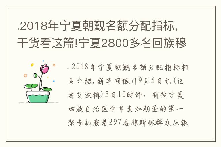 .2018年寧夏朝覲名額分配指標(biāo)，干貨看這篇!寧夏2800多名回族穆斯林乘包機(jī)赴麥加朝覲