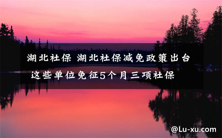 湖北社保 湖北社保減免政策出臺 這些單位免征5個(gè)月三項(xiàng)社保