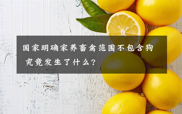 國家明確家養(yǎng)畜禽范圍不包含狗 究竟發(fā)生了什么?