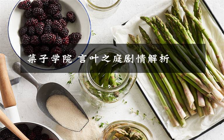 菜子學(xué)院 言葉之庭劇情解析