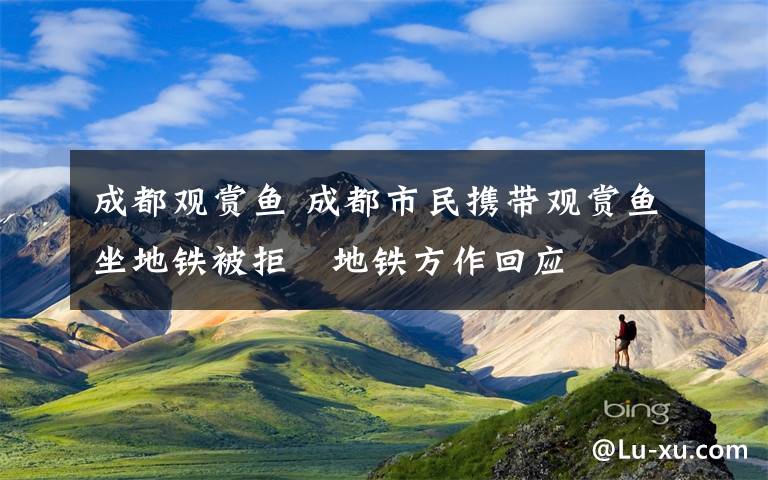 成都觀賞魚(yú) 成都市民攜帶觀賞魚(yú)坐地鐵被拒　地鐵方作回應(yīng)