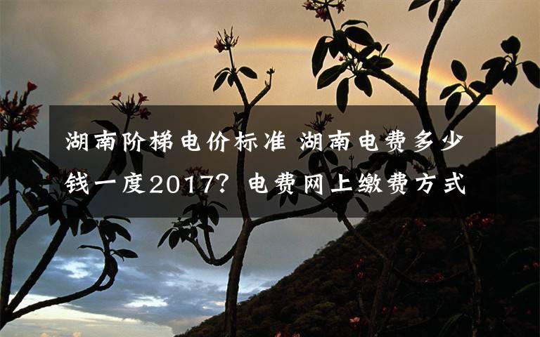 湖南階梯電價標準 湖南電費多少錢一度2017？電費網(wǎng)上繳費方式