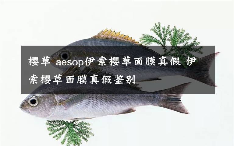 櫻草 aesop伊索櫻草面膜真假 伊索櫻草面膜真假鑒別