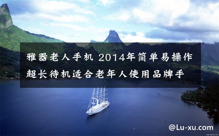 雅器老人手機 2014年簡單易操作超長待機適合老年人使用品牌手機推薦（圖）