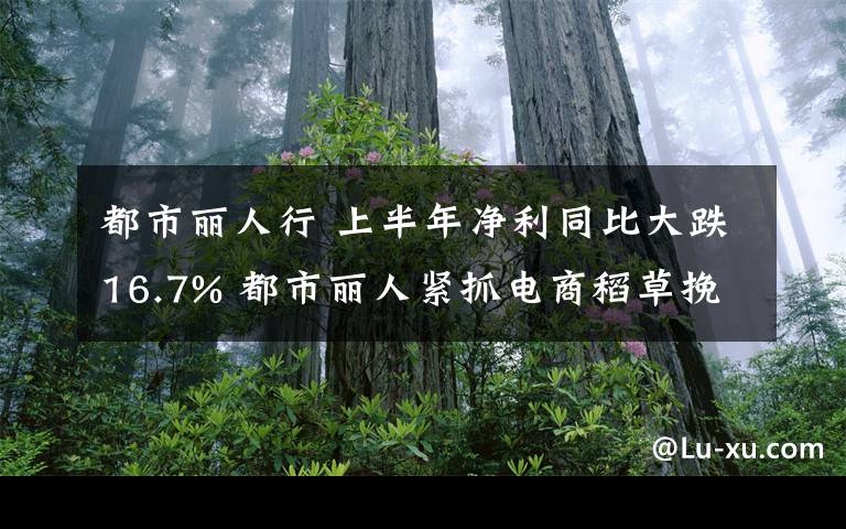 都市麗人行 上半年凈利同比大跌16.7% 都市麗人緊抓電商稻草挽救業(yè)績