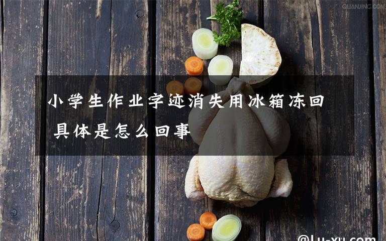 小學(xué)生作業(yè)字跡消失用冰箱凍回 具體是怎么回事