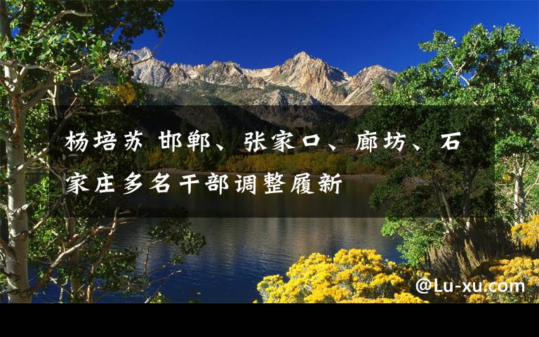 楊培蘇 邯鄲、張家口、廊坊、石家莊多名干部調(diào)整履新