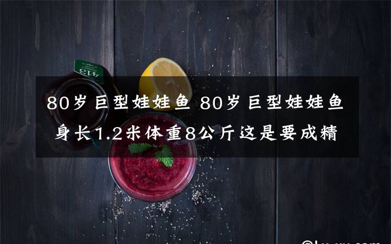 80歲巨型娃娃魚 80歲巨型娃娃魚 身長1.2米體重8公斤這是要成精的節(jié)奏嗎？