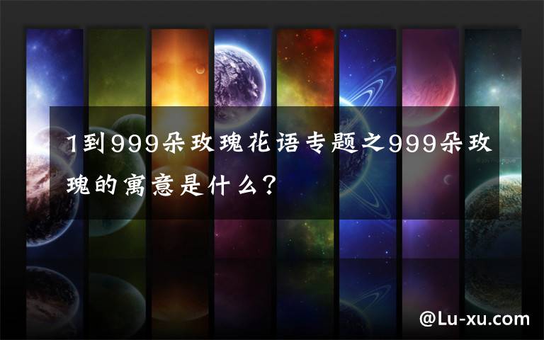 1到999朵玫瑰花語專題之999朵玫瑰的寓意是什么？