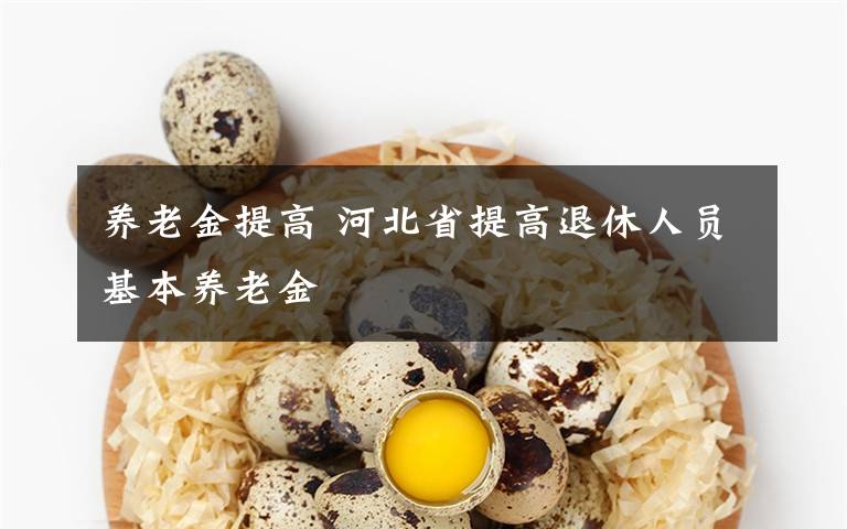 養(yǎng)老金提高 河北省提高退休人員基本養(yǎng)老金