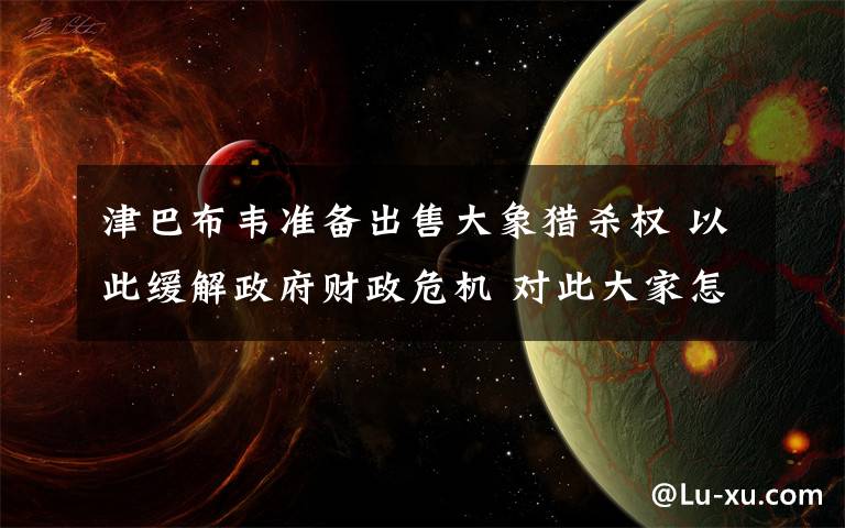 津巴布韋準備出售大象獵殺權 以此緩解政府財政危機 對此大家怎么看？