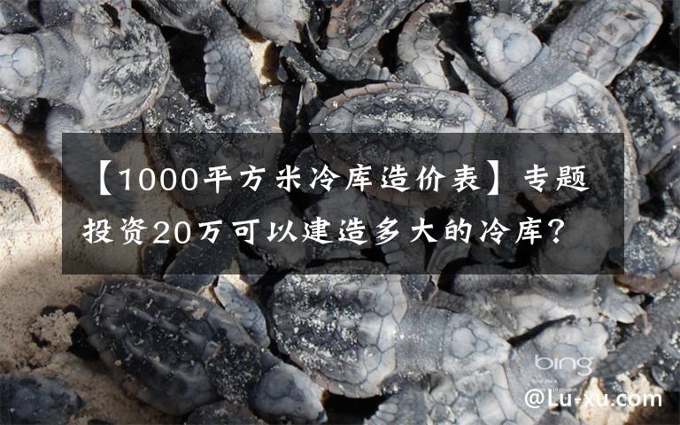 【1000平方米冷庫造價表】專題投資20萬可以建造多大的冷庫？冷庫工程造價表