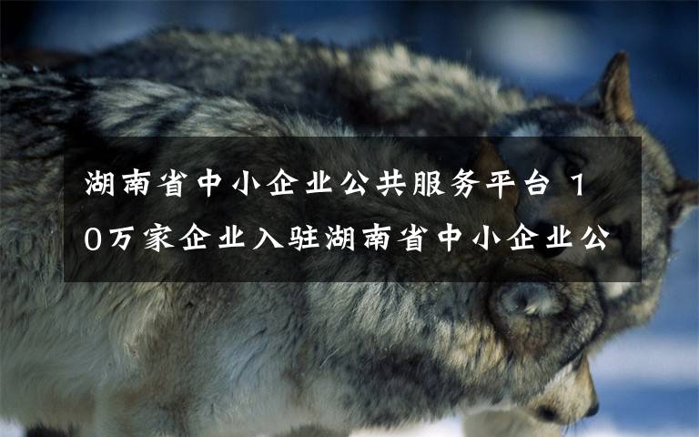 湖南省中小企業(yè)公共服務(wù)平臺(tái) 10萬(wàn)家企業(yè)入駐湖南省中小企業(yè)公共服務(wù)平臺(tái)