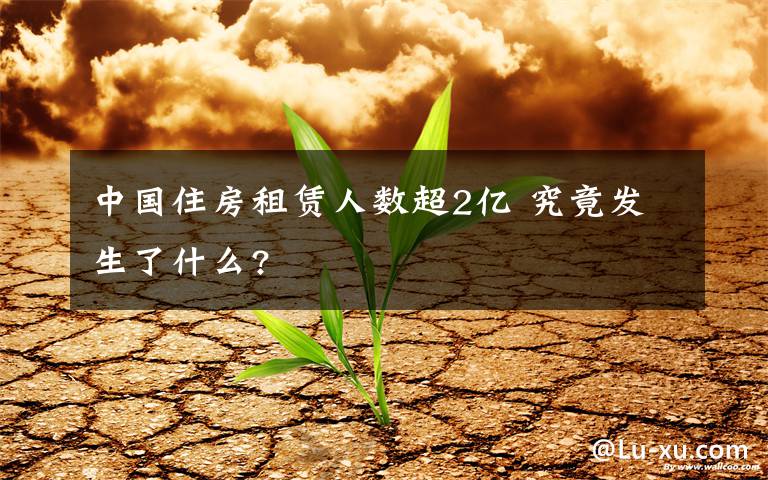 中國住房租賃人數(shù)超2億 究竟發(fā)生了什么?