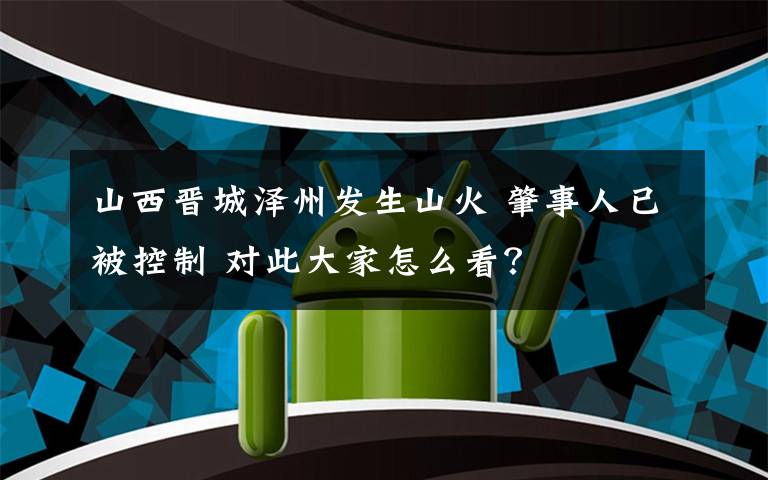 山西晉城澤州發(fā)生山火 肇事人已被控制 對此大家怎么看？