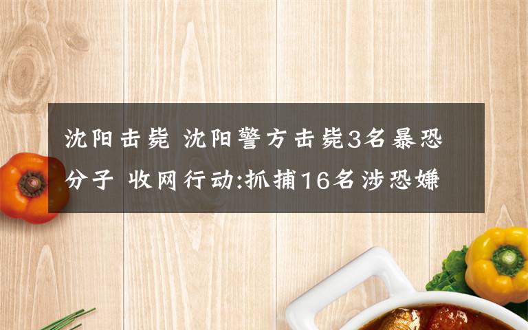 沈陽擊斃 沈陽警方擊斃3名暴恐分子 收網(wǎng)行動:抓捕16名涉恐嫌疑人