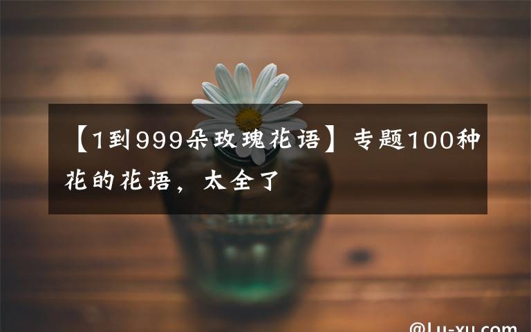 【1到999朵玫瑰花語(yǔ)】專題100種花的花語(yǔ)，太全了