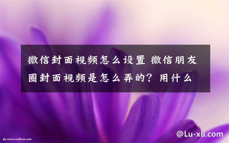 微信封面視頻怎么設(shè)置 微信朋友圈封面視頻是怎么弄的？用什么app軟件做的？