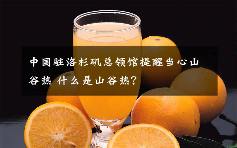 中國駐洛杉磯總領館提醒當心山谷熱 什么是山谷熱？