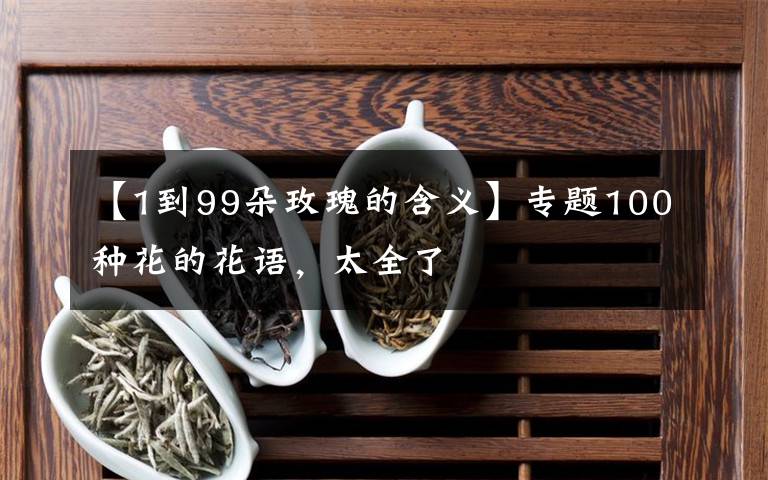 【1到99朵玫瑰的含義】專題100種花的花語，太全了