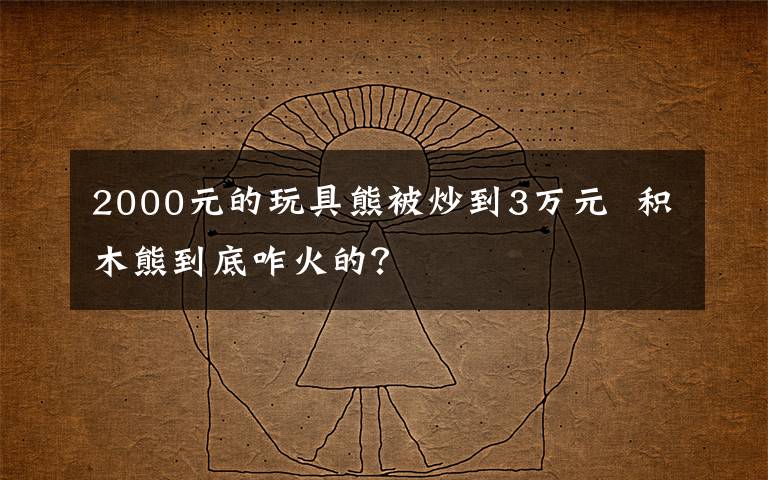 2000元的玩具熊被炒到3萬元 積木熊到底咋火的？