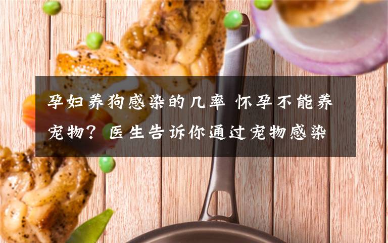 孕婦養(yǎng)狗感染的幾率 懷孕不能養(yǎng)寵物？醫(yī)生告訴你通過寵物感染弓形蟲的概率有多大